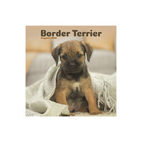 Avonside Publishing Ltd Border Terrier Puppies Square Mini Calendar 2025 (häftad, eng)