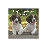 Avonside Publishing Ltd English Springer Spaniel Puppies Square Mini Calendar 2025 (häftad, eng)