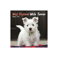 Carousel Calendars West Highland White Terrier Puppies Square Mini Calendar 2025 (häftad, eng)