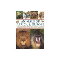 Anness publishing Animals of Africa and Europe (häftad, eng)