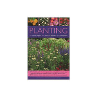 Anness publishing Planting for Visual Impact and Scent in Borders and Containers (häftad, eng)