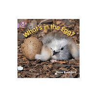 HarperCollins Publishers What’s in the Egg? (häftad, eng)