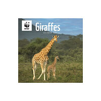 Carousel Calendars WWF Giraffes Square Wall Calendar 2025 (häftad, eng)