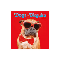 Carousel Calendars Dogs in Disguise Square Wall Calendar 2025 (häftad, eng)