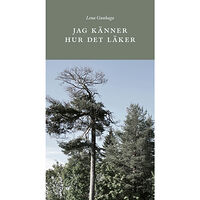 Lena Gunhaga Jag känner hur det läker (inbunden)