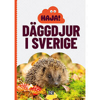 Låtta Skogh Haja! Däggdjur i Sverige (häftad)