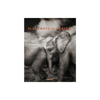 teNeues Publishing UK Ltd Elephants in Heaven (inbunden, eng)