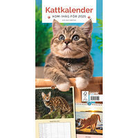 Bokförlaget Semic Kattkalender 2025 (bok, spiral)