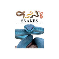 Amber Books Ltd Snakes (häftad, eng)