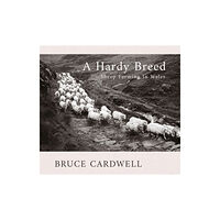 Poetry Wales Press A Hardy Breed (häftad, eng)