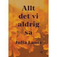 Julia Lantz Allt det vi aldrig sa (inbunden)