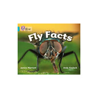 HarperCollins Publishers Fly Facts (häftad, eng)