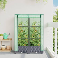 vidaXL Odlingslåda med växthusöverdrag rottinglook 80x40x123 cm
