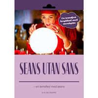 Mysteriefabriken Seans utan sans (bok)