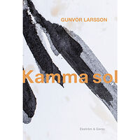 Gunvor Larsson Kamma sol (bok, danskt band)