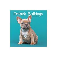 Carousel Calendars French Bulldogs Square Mini Calendar 2025 (häftad, eng)