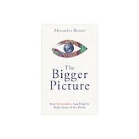 Alexander Beiner The Bigger Picture (häftad, eng)