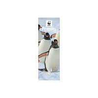 Carousel Calendars WWF Penguins Slim Calendar 2025 (häftad, eng)