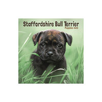 Avonside Publishing Ltd Staffordshire Bull Terrier Puppies Square Mini Calendar 2025 (häftad, eng)