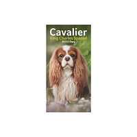 Carousel Calendars Cavalier King Charles Spaniels Slim Diary 2025 (häftad, eng)