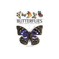 Amber Books Ltd Butterflies (häftad, eng)