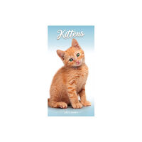 Carousel Calendars Kittens Slim Diary 2025 (häftad, eng)