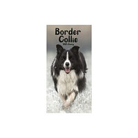 Carousel Calendars Border Collies Slim Diary 2025 (häftad, eng)