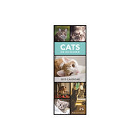 Portico Designs Ltd Cats on Instagram Slim Calendar 2025 (häftad, eng)