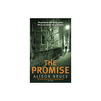 Little, Brown Book Group The Promise (häftad, eng)