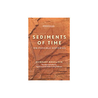 Stanford university press Sediments of Time (häftad, eng)