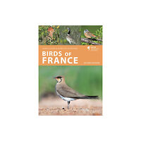 Bloomsbury Publishing PLC Birds of France (häftad, eng)