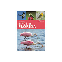 Bloomsbury Publishing PLC Birds of Florida (häftad, eng)