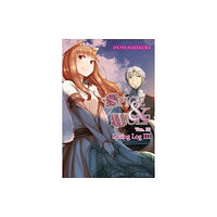 Little, Brown & Company Spice and Wolf, Vol. 20 (light novel) (häftad, eng)