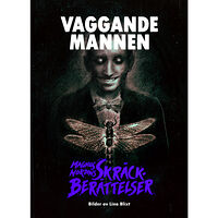 Magnus Nordin Vaggande mannen (inbunden)