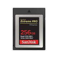 SANDISK SanDisk Extreme Pro - flash-minneskort - 256 GB - CFexpress