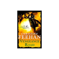 Little, Brown Book Group Vengeance Road (häftad, eng)