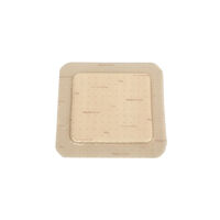 MEPILEX Mepilex Border Flex 10x10cm 5/fp