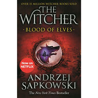 Andrzej Sapkowski Blood of Elves (1) (pocket, eng)