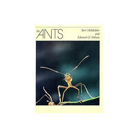 Harvard university press The Ants (inbunden, eng)