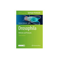 Springer-Verlag New York Inc. Drosophila (häftad, eng)