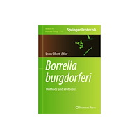 Springer-Verlag New York Inc. Borrelia burgdorferi (inbunden, eng)