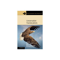 Cambridge University Press Conservation Translocations (häftad, eng)