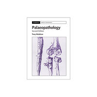 Cambridge University Press Palaeopathology (häftad, eng)