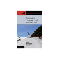Cambridge University Press Ecology and Conservation of Mountain Birds (häftad, eng)