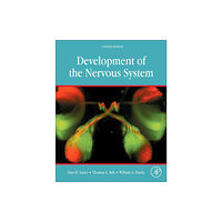 Elsevier Science Publishing Co Inc Development of the Nervous System (inbunden, eng)