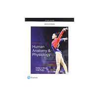 Pearson Education (US) Study Guide for Human Anatomy & Physiology (häftad, eng)