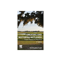 Elsevier Science Publishing Co Inc Creating and Restoring Wetlands (häftad, eng)