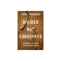 Oxford University Press Inc Divided Not Conquered (häftad, eng)
