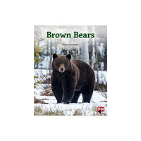 SCHOLASTIC LTD BROWN BEARS (häftad, eng)