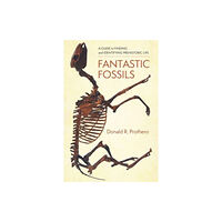 Columbia university press Fantastic Fossils (häftad, eng)